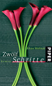 Zwölf Schritte